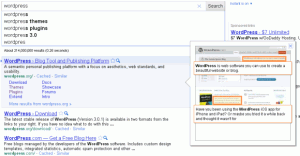 google-search-preview-2 google search preview